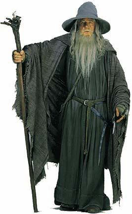 Gandalf view of first robes from LOTR Gandalf Robe, Warlock Costume, Lord Of The Rings Gandalf, Hobbit Costume, Lotr Costume, The One Ring, Male Witch, Wizard Costume, Gandalf The Grey