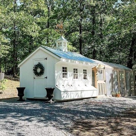 50 Chicken Coop, Homestead Inspiration, Chicken Houses, Chicken Flock, Poultry Farming, Chicken Home, Backyard Chicken Coop Plans, Greek Vacation, Chicken Coup