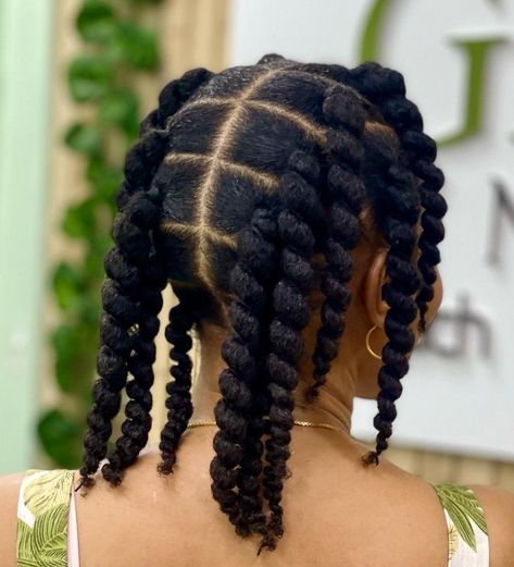 Fabulous Twist Braids for Natural Hair Natural Hair Stylists, Protective Hairstyles For Natural Hair, African Hair Braiding Styles, Natural Hair Twists, Pelo Afro, Hair Twist Styles, Natural Hair Styles Easy, Natural Hair Updo, Natural Hair Braids