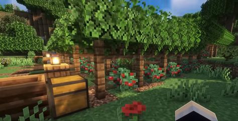 Minecraft Berry Farm Ideas, Minecraft Glow Berries Farm, Glow Berry Farm Minecraft, Minecraft Berry Farm, Survival Minecraft, Minecraft World, Minecraft Farm, Easy Minecraft Houses, Berry Bushes