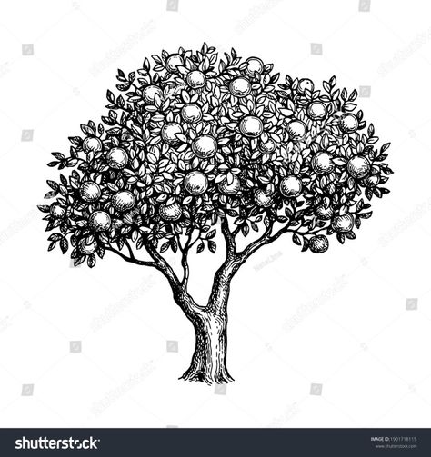 Tree Vector, Ink Sketch, Cherry Tree, Apple Tree, Adobe Stock, Dandelion, Sketch, Abstract Artwork, Map