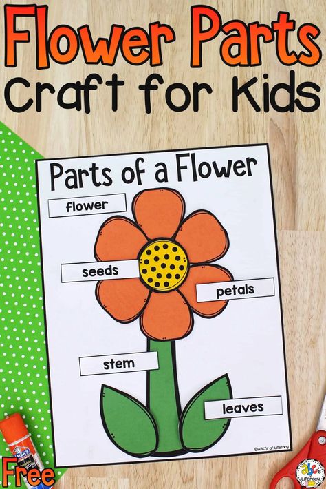 This Parts of a Flower Craft is a creative way for your children to learn about flower parts and develop their fine motor skills. Part Of A Flower Preschool, Parts Of A Flower Lesson Plan, Flower Theme Kindergarten, Flower Parts Preschool, Learning About Flowers Preschool, Parts Of A Flower Worksheet Preschool, Gardening Craft Preschool, Parts Of A Flower Kindergarten, Flower Parts For Kids