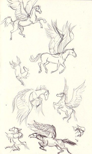 Horses Fantasy Art, How To Draw Pegasus, Winged Horse Drawing, Peguses Drawing, Pegasus Reference Drawing, Horses Drawing Reference, Horse Drawing Tips, Drawing Ideas Horse Sketch, Pegasus Art Drawing