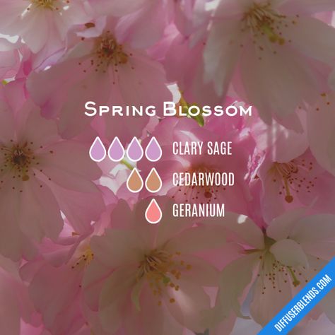 Essential Oil Diffuser Blends | DiffuserBlends.com Cherry Blossom Essential Oil, Reed Diffuser Sticks, Moisturizing Bath, Liquid Castile Soap, Essential Oil Blends Recipes, Blue Tansy, Essential Oil Diffuser Blends, Oil Diffuser Blends, Diy Skincare