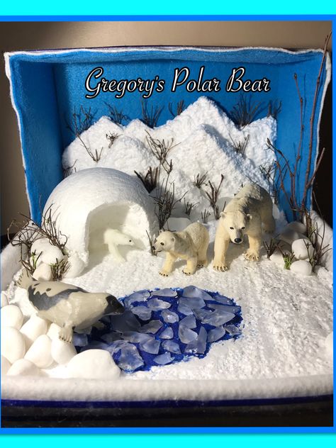 Artic Diaroma Ideas, Polar Bear Habitat Diorama, Polar Ecosystem Project, Tundra Habitat Project, Polar Bear Habitat Project, Polar Habitat Diorama, Polar Bear Diaroma, Polar Bear Project, Polar Bear Diorama Project