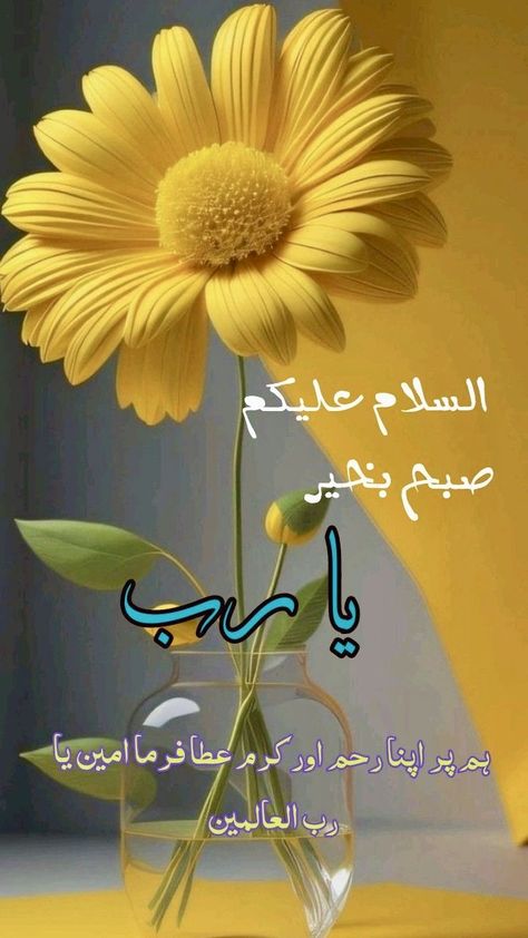 Morning Urdu Dua, Assalamu Alaikum Jumma Mubarak, Suba Bakhair, Jumma Mubarak Dua, Urdu Dua, Islamic Greetings, Very Good Morning Images, Very Good Morning, Subha Bakhair