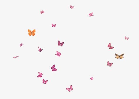 Butterfly Diagram, Butterflies Illustration, Butterflies Png, Flying Butterfly, Butterfly Png, Violet Background, Laptop Wallpaper Desktop Wallpapers, Png Free Download, Creative Poses