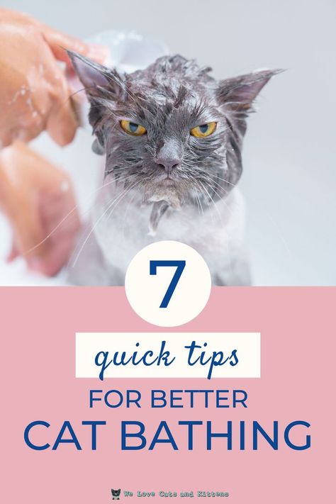 Diy Cat Bath Wipes, Bathing Cats Tips, Cat Washing, How To Give A Cat A Bath, Cat Bathing Tips, How To Bathe A Cat, Cat Bathing, Cat Wash, Cat Shampoo