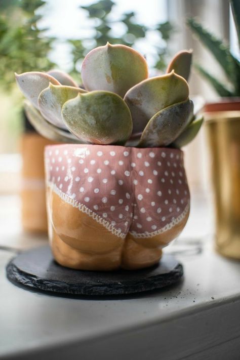 Decorative Ceramics, Beginner Pottery, Diy Air Dry Clay, Clay Planters, Clay Crafts Air Dry, Diy Ceramic, Keramik Design, Dry Plants, Pottery Crafts