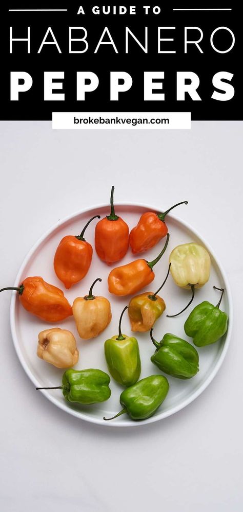 Green Habanero Recipes, Candied Habanero Peppers, Habanero Recipes, Vegan Basics, Chile Habanero, Vegan Buttermilk, Vegan Condensed Milk, Dairy Free Bread, Candied Jalapenos