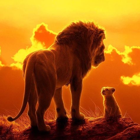 Mufasa and Little Simba in Disney’s The Lion King 2019 Lion King Remake, Roi Lion Simba, Watch The Lion King, Lion King Poster, Young Simba, Circus Characters, Lion King Movie, Animation Disney, Jon Favreau