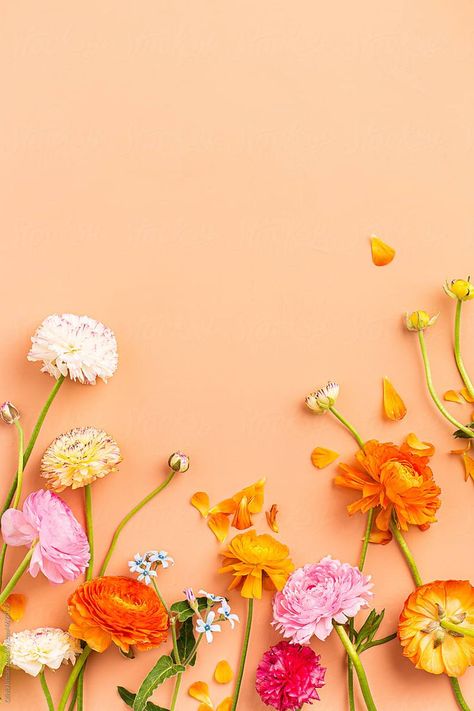 Bright Floral Background, Photo Flowers Photography, Floral Photography Background, Floral Flatlay Photography, Flat Lay Flower Photography, Flower Stock Photos, Studio Flower Photography, Colorful Flowers Background, Spring Flat Lay Photography