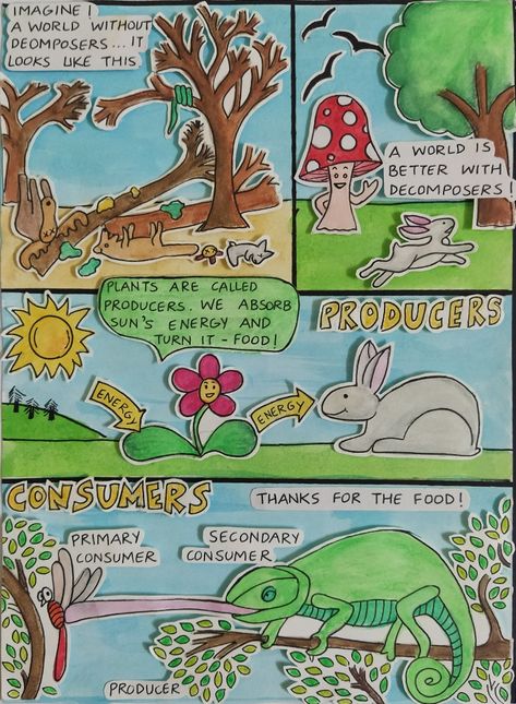 Ecosystem Drawing Ideas, Simple Comic Strip Drawing, Escritura Aesthetic, Ecosystem Art, Easy Comics Strips, Producers Consumers Decomposers, Ecosystems Projects, Energy Pyramid, Comic Book Drawing