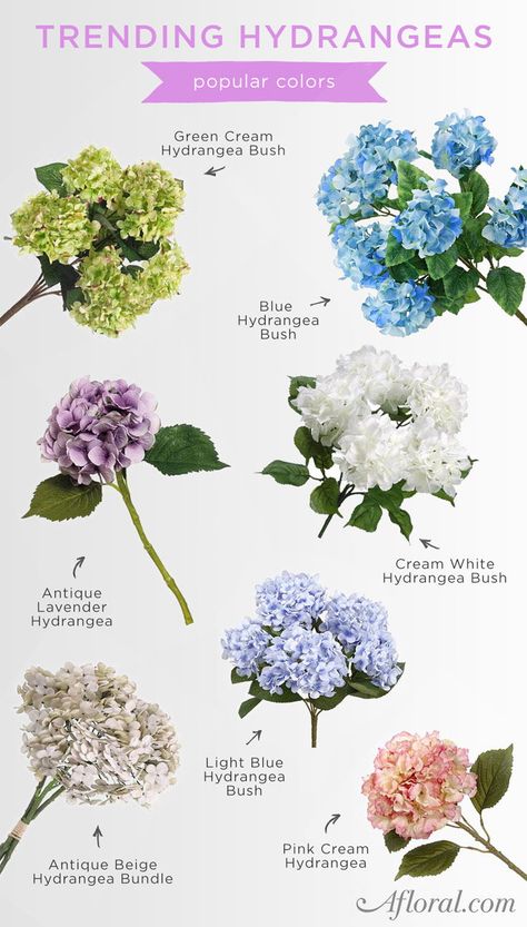 Hydrangea Garden Ideas, Hydrangea Inspiration, Hydrangea Wedding Flowers, Trending Flowers, Hydrangeas Garden, Flowers With Names, Hydrangea Plant, Hydrangea Season, Hydrangeas Flowers