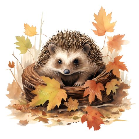 Watercolor Hedgehog, Banner Clip Art, Woodland Clipart, Thanksgiving Clip Art, Mug Sublimation, Autumn Painting, Watercolor Animals, Fall Leaves, Animal Paintings