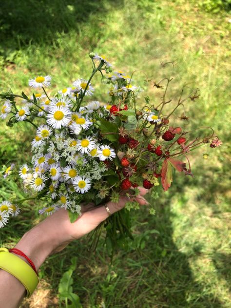 bouquet of wild flowers, bouquet of wild strawberries Wild Flowers Bouquet Aesthetic, Bouquet Of Wildflowers Aesthetic, Daisy Wildflower Bouquet, Wildflowers Aesthetic Bouquet, Wild Flowers Bunch, Wild Flowers Bouquet, Wild Flower Arrangements, Wild Strawberries, Friends Aesthetic