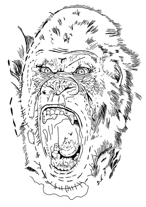 Gorilla Tattoo Stencil, Gorilla Stencil, King Kong Tattoo, Jungle Tattoo, Tattoo Linework, Gorilla Tattoo, Anchor Tattoo Design, Stencil Outline, Anchor Tattoo