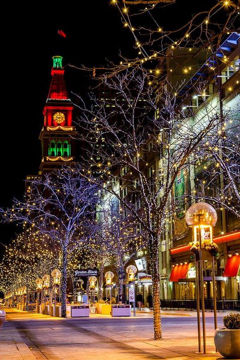 There's no place like home! Denver, Colorado Denver Christmas, New York Christmas Aesthetic, Colorado Christmas, Holiday Lights Display, Street Mall, Best Christmas Lights, Christmas Destinations, Christmas In The City, Christmas Town