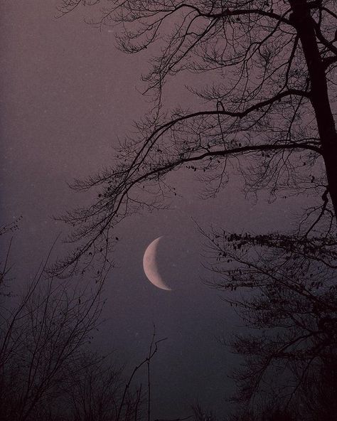 Nona Limmen (@nonalimmen) • Instagram photos and videos Andrea + Core + Aesthetic, Lauren + Core + Aesthetic, Nona Limmen, Gothic Romance, Black Phone Wallpaper, Gothic Aesthetic, Dark Gothic, Witch Aesthetic, Practical Magic