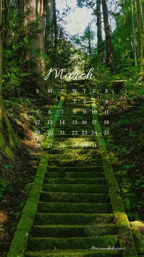 March Wallpaper Calendar #calendar #march #march2023 March Wallpaper, Cottagecore Aesthetic Wallpaper, March Aesthetic, August Wallpaper, March Calendar, Calendar March, Aesthetic Cottagecore, Spring Background, Calendar Wallpaper