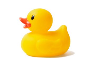 Duck Images, Yellow Rubber Duck, Duck Tattoos, Bathroom Toys, Yellow Duck, Rubber Ducky, Chalk Art, Instagram Highlight Icons, Rubber Duck