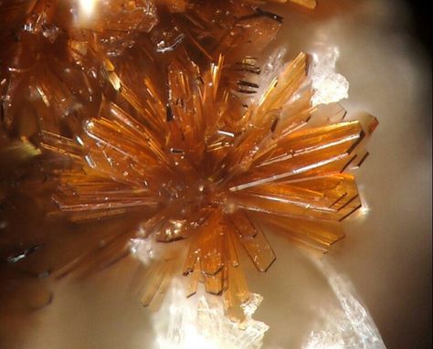 Ruizite: a silicate mineral that -forms on metamorphosed limestone was discovered in Christmas Mine in southern Arizona Southern Arizona, Silicate Minerals, Engagement Party Decorations, Rocks And Gems, Modern Garden, Rocks And Minerals, Geology, Engagement Party, Outdoor Gardens