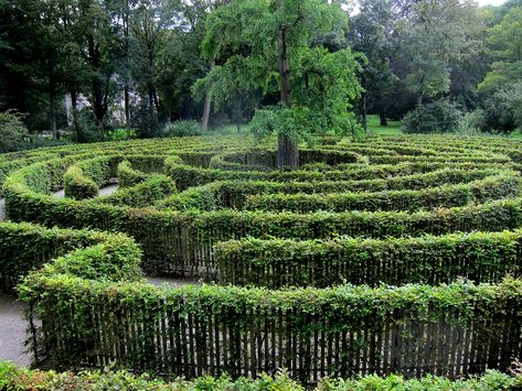 Houses For Rent Near Me, Garden Labyrinth, Rural Houses, Labyrinth Garden, Labyrinth Maze, Geometric Nature, Rural House, Formal Garden, Nature Garden