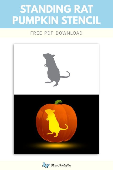 Free printable standing rat stencil for pumpkin carving. Download it at https://museprintables.com/download/pumpkin-stencil/standing-rat/ Rat Pumpkin Carving, Rat Pumpkin, Rat Stencil, Stencil For Pumpkin Carving, Printable Pumpkin Stencils, Pumpkin Stencils Free, Pumpkin Stencils, Thanksgiving Time, Fake Candles