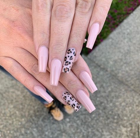 Leopard Print Pink Nails, Leopard Nails Pink, Leopard Nails Designs, Nails Leopard Print, Pink Leopard Nails, Extra Long Nails, Nails Leopard, Band Nails, Leopard Print Nails