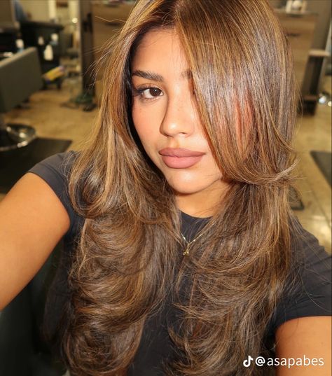 on that jessica alba vibe Jessica Alba Balayage, Jessica Alba Honey Blonde Hair, Honey Brown Hair With Layers, Jessica Alba Hair Color Honey, Jessica Alba 2000s Hair, Honey Brown Balayage Hair, Jessica Alba Honey Hair, Honey Blonde Hair Brown Skin, Jessica Alba Brown Hair