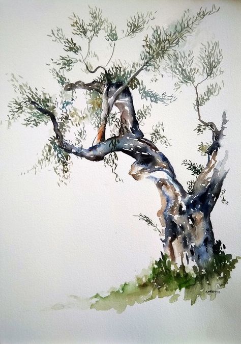 Alexandra Bari - Paintings for Sale | Artfinder Olive Tree Watercolor Paintings, Olive Tree Sketch, Olive Tree Watercolor, Olive Tree Illustration, Olive Tree Drawing, Olive Tree Art, Tree Watercolour, Olive Tree Painting, Tree Watercolor Painting