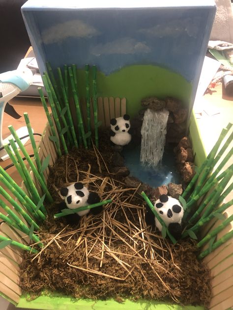 Panda Habitat Diorama, Panda Diaroma, Panda Habitat Project For Kids, Panda Diorama, Panda Surprise, Minecraft Panda, Panda Project, Panda Activities, Homeschool Toddler