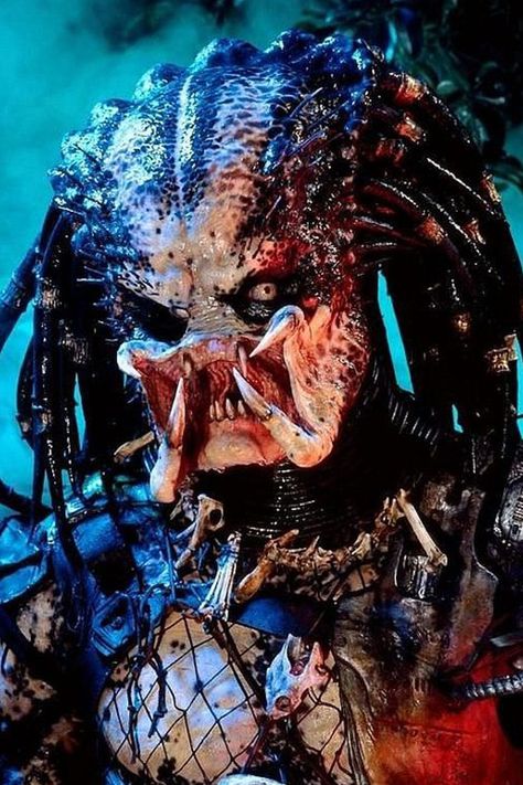 Sigue enlace para conocer todo sobre la saga depredador // Follow link to know all about predator saga. #depredador #predator #yautja