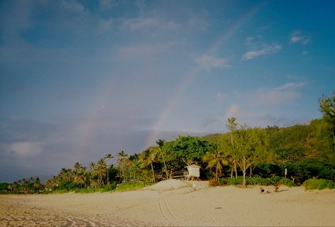 hawaii film Hawaii Film Photography, Hawaii On Film, Vintage Hawaii Aesthetic, Vintage Hawaii, Hawaii Life, Old Camera, Paradise On Earth, Kauai, Summer Colors