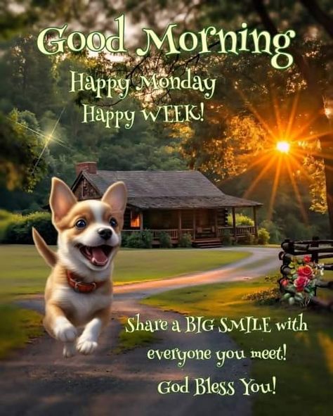 Monday Blessings New Week, Monday Morning Humor, Blessed Monday, Magic Monday, Monday Greetings, Good Morning Monday Images, Morning Sayings, Monday Images, Good Morning Monday