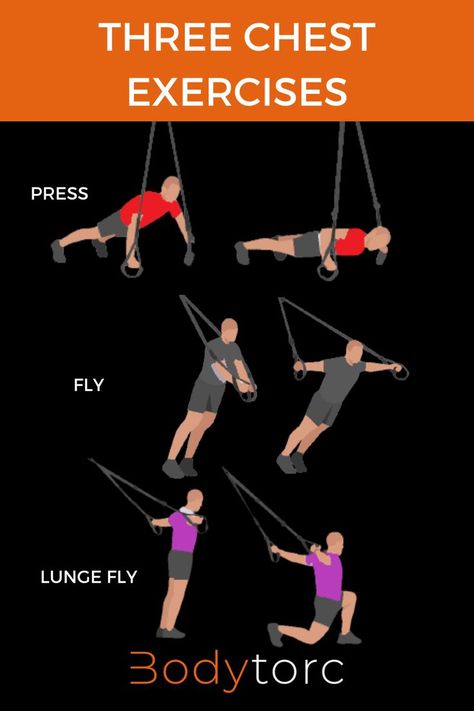 Three of the best chest exercises using a suspension trainer. The press and the fly are the basic chest exercises for home workouts. Very easy to perform and you can do the press with the handles or with your feet suspended and pressing of the ground like in a push up. Great for training the chest, arms and shoulders. Will build muscle, tone and strengthen your upper body. Upper Body Trx Workout, Dumbell Flys Chest Exercises, Easy Home Workouts, Trx Workouts For Women, Trx Lower Body Workout, Best Chest Exercises, Trx Pilates Suspension Training, Trx Lower Body Exercises, Trx Exercises