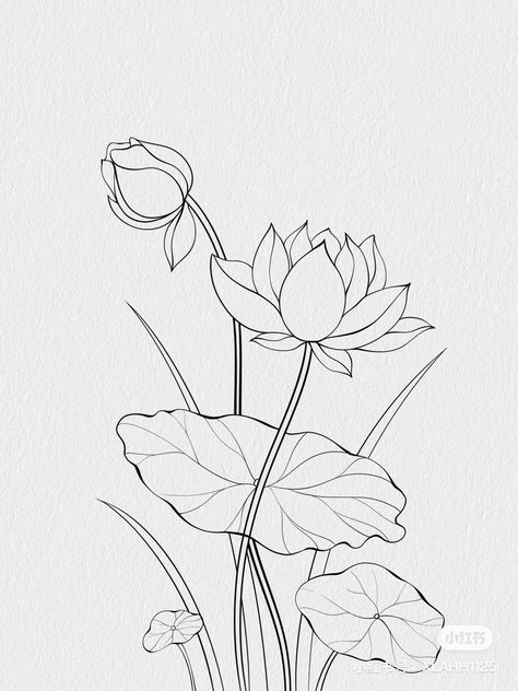 Lotus Flower Outline Drawing, Chinese Art Sketch, Procreate Floral Drawing, Lotus Bud Drawing, Flower Women Drawing, Frangipani Flower Drawing, Lotus Flower Drawing Sketches, Lotus Sketch Drawing, How To Draw Lotus Flower