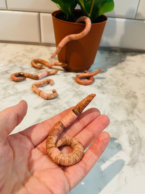 Clay Worm, Plant Accessories, Earthworms, Plant Lover Gift, Weird Art, Indoor Plant, Lovers Gift, Crafty Things, Plant Lover