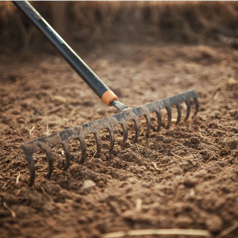 3 Easy Ways To Recharge Your Garden Soil In The Fall - Give New Life To Tired Soil! Alluvial Soil, Soil For Plants, Row Gardening, Old World Garden, How To Make Compost, Garden Posts, Better Homes And Garden, Soil Improvement, Soil Health