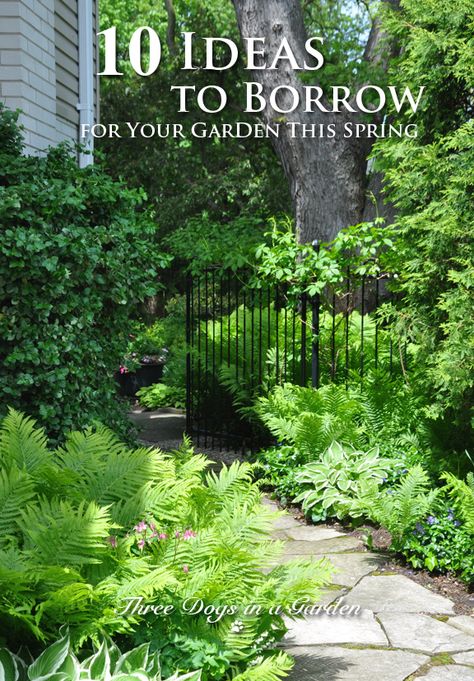 Shade Garden Pathways, Shade Garden Path, Small Courtyard Landscape Ideas, Garden Focal Point Ideas Inspiration, Small Shade Garden Ideas, New Orleans Gardens, Small Secret Garden Ideas, Garden Focal Point Ideas, Small Courtyard Garden Ideas