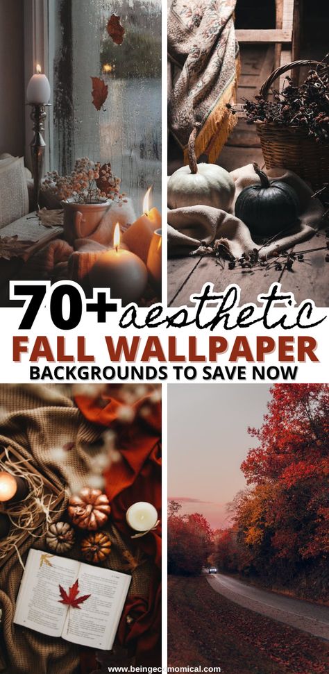 70+ Fall Wallpaper Ideas For The Ultimate Fall Aesthetic. These are the perfect fall wallpaper aesthetic and fall background ideas for your cozy fall lockscreen. Fall Photo Wallpaper, Fall Leaves Background Aesthetic, November Thanksgiving Wallpaper, Cute Fall Iphone Wallpaper Aesthetic, Cozy Fall Iphone Wallpaper, November Iphone Wallpaper Aesthetic, Asthetic Picture Wallpaper Iphone, Fall Wallpaper Lockscreen, Fall Wallpaper November