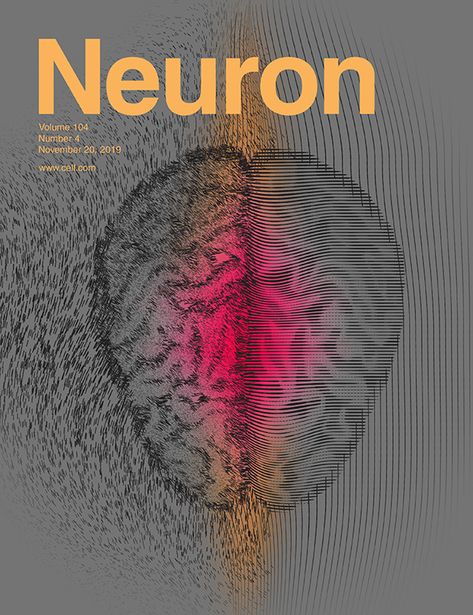 Neurons Aesthetic, Neuron Aesthetic, Neurobiology Aesthetic, Biology Aesthetic Cover, Neuro Aesthetic, Neuroscience Aesthetic, Neurons Art, Chemical Synapse, Brain Aesthetic