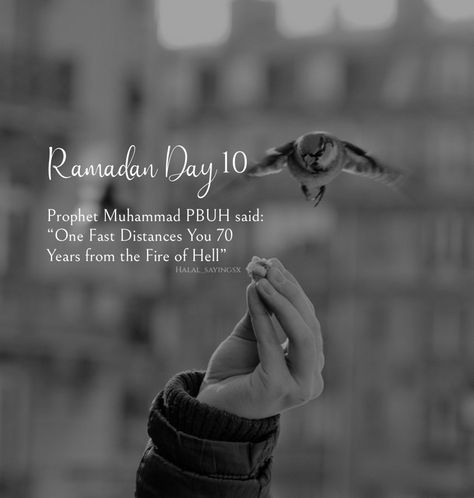 Ramadan Day 1 To 30 Quotes 2024, Ramadan Day 1 To 30, Ramadan Content, Ramadan Day 2, Ramzan 2024, Ramadan Day 1, Ramadan Quote, Ramzan Wishes, Ramadan 1