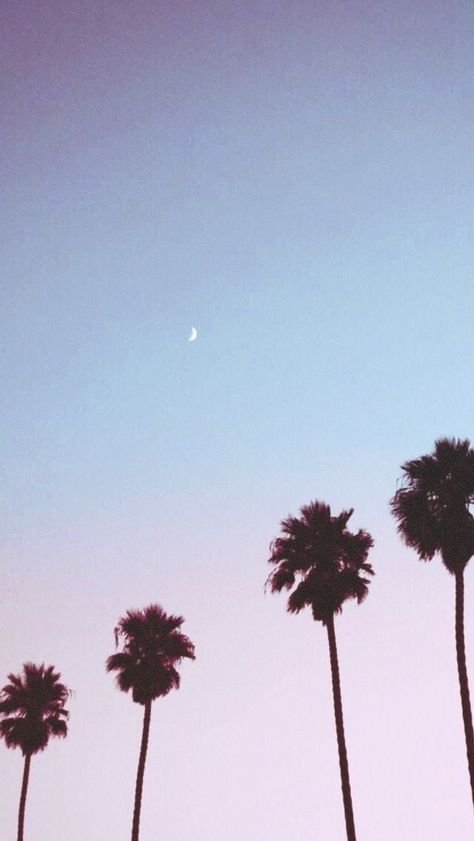 2016 Wallpaper, 2014 Aesthetic, Tumblr Backgrounds, Tumblr Art, Tumblr Pics, Beach Wallpaper, Tree Wallpaper, Tumblr Wallpaper, Aesthetic Iphone