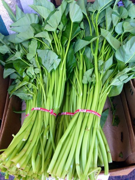 Sayur Kangkung, Vegetables Pictures, Gourd Vegetable, Fruits Garden, Fruits And Vegetables Pictures, Variety Food, Farmers Market Display, Seed Starter Kit, Water Spinach