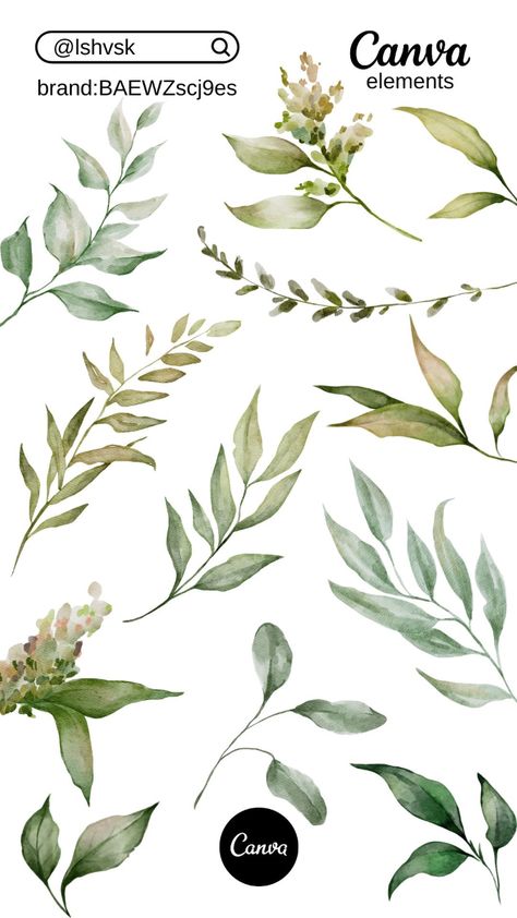 Watercolor greenery by lshvsk on Canva - Yuli Canva Free Elements, Font Canva Lettering, Website Design Inspiration Business, Branch Watercolor, Keyword Elements Canva, Botanical Leaves, Watercolor Green, Nature Watercolor, Canvas Learning