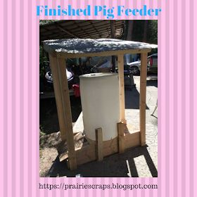 Pig Feeders Diy Ideas, Diy Pig Feeder, 4h Animals, Mini Pig Care, Sheep Feeders, Pig Feeder, Pig Waterer, Gravity Feeder, Horse Pens