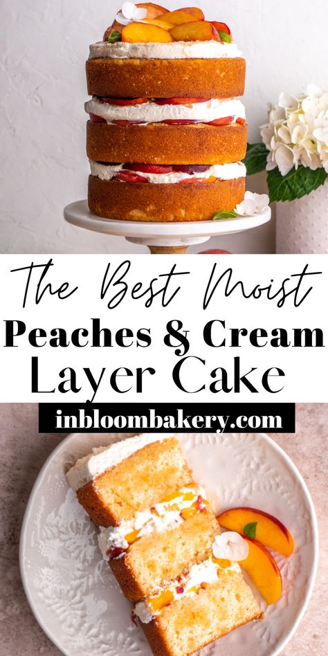 This is a moist and tender vanilla cake filled with fresh peaches and vanilla bean whipped cream topped with fresh peach syrup. Vanilla Peach Cake Recipe, Peach Flavored Cake, Peach Chantilly Cake, Peach Cake With Fresh Peaches, Peaches N Cream Cake, Peaches And Cream Layer Cake, Peaches And Cream Cake Filling, Peach Pie Cake, Vanilla Cake With Peach Filling