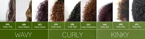 curl_pattern Curl Pattern Chart, Hair Type Chart, Curly Nikki, Curly Girl Method, Curl Pattern, Natural Hair Inspiration, Types Of Curls, Curly Girl, Curled Hairstyles