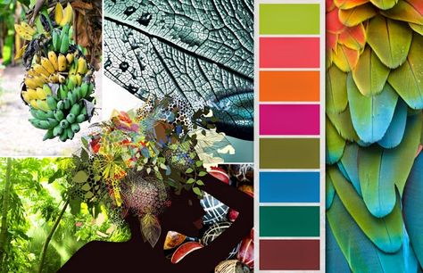 FASHION VIGNETTE: TRENDS // COLORWORLD (CSI + DYSTAR) - SPRING/SUMMER 2015 COLOR INSPIRATION - RAINFOREST Palette Spring, Summer Color Palettes, Style Palette, Summer Palette, Color Forecasting, Forest Color, Summer Color Palette, Color Trends Fashion, 2015 Trends